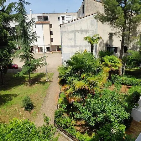 Cervar Porat Daire *